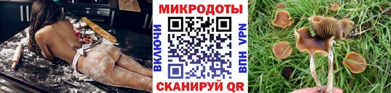 Псилоцибиновые грибы Magic Shrooms дарнет шоп Воткинск