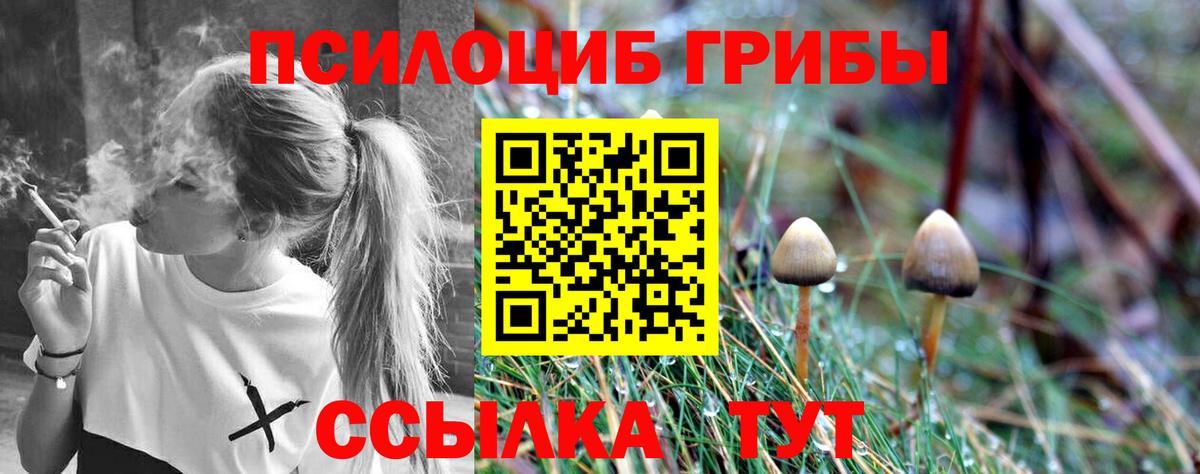 Воткинск  Галлюциногенные грибы Psilocybe  Вход с VPN  Псилоцибиновые грибы мицелий 